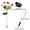 Multi-Color Solar LED Peony Flower Stake Lights, 6-Pack Assorted Lights for Outdoor Landscaping